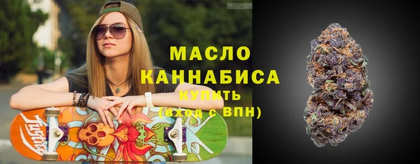 индика Вяземский
