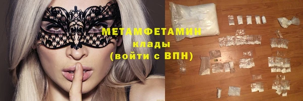 индика Вяземский