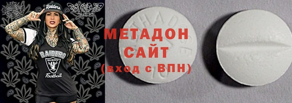 индика Вяземский