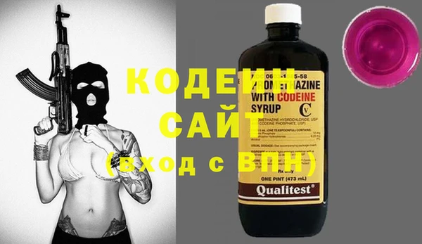 индика Вяземский