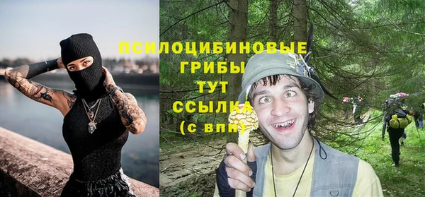 дмт Вязьма