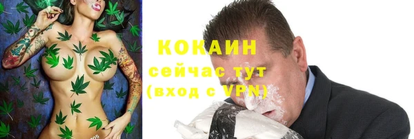 индика Вяземский
