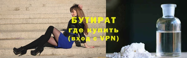 индика Вяземский