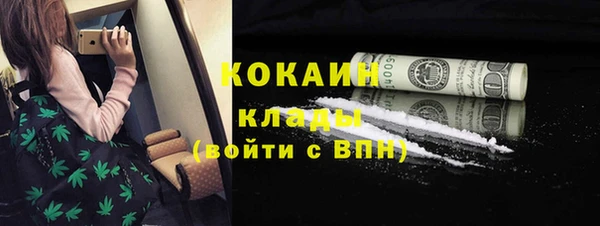 индика Вяземский