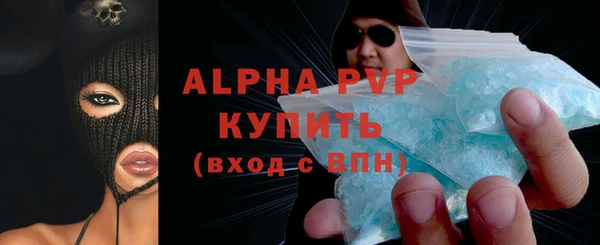 индика Вяземский
