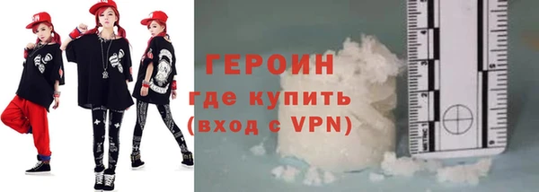 индика Вяземский