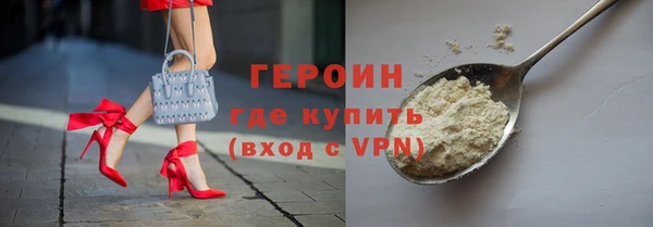 индика Вяземский