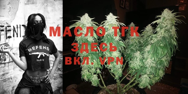 индика Вяземский