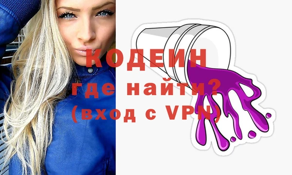 индика Вяземский