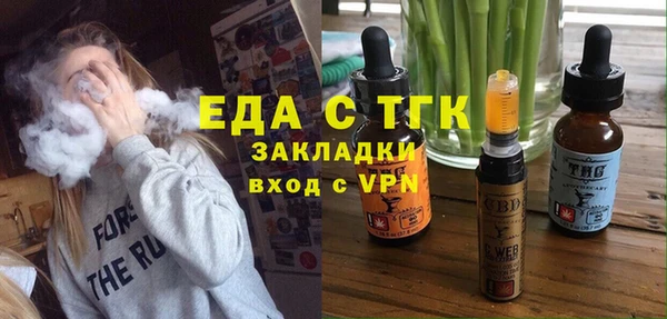 индика Вяземский