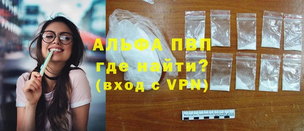 индика Вяземский