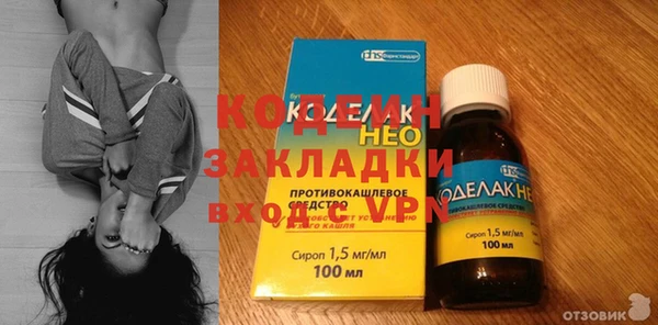 индика Вяземский