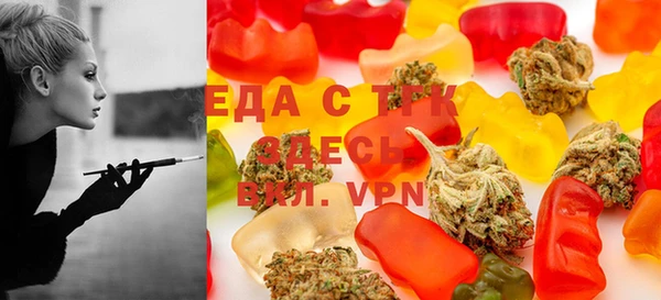 индика Вяземский