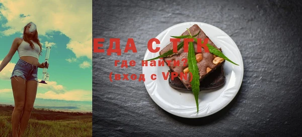 индика Вяземский