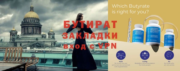 индика Вяземский