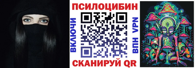 Галлюциногенные грибы Psilocybe Солигалич